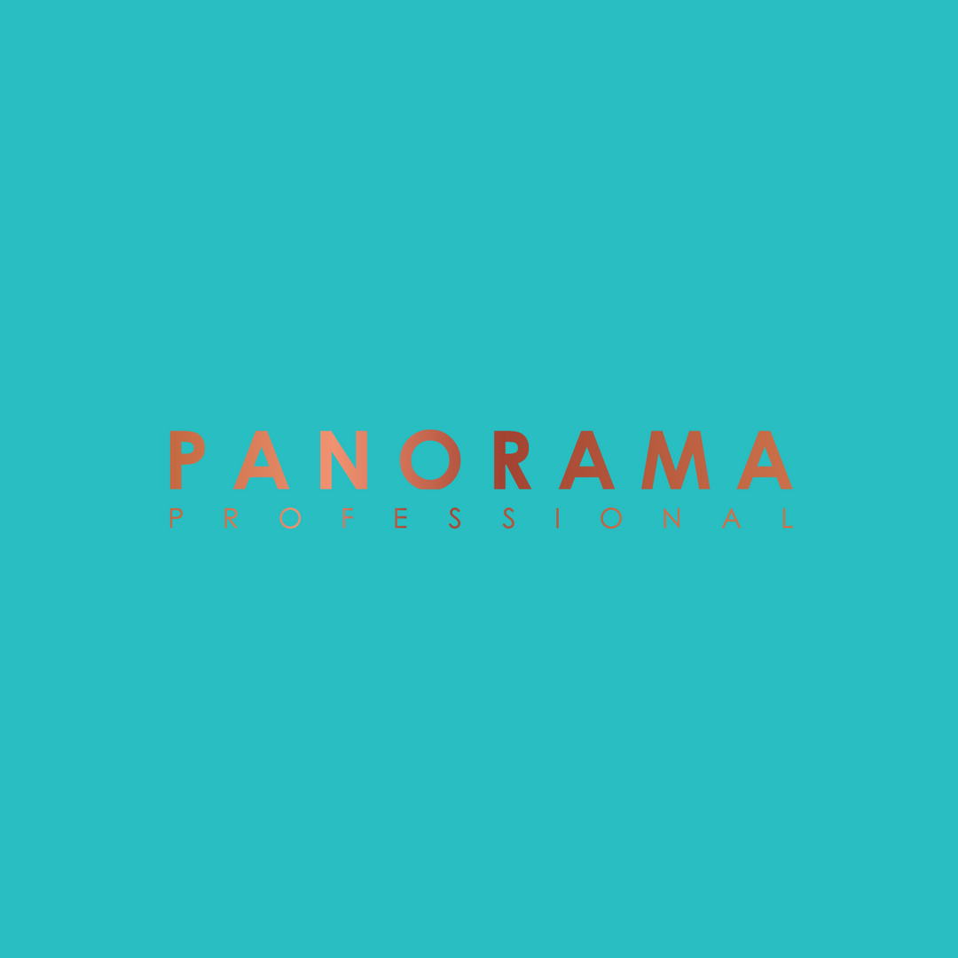 Panorama Professional